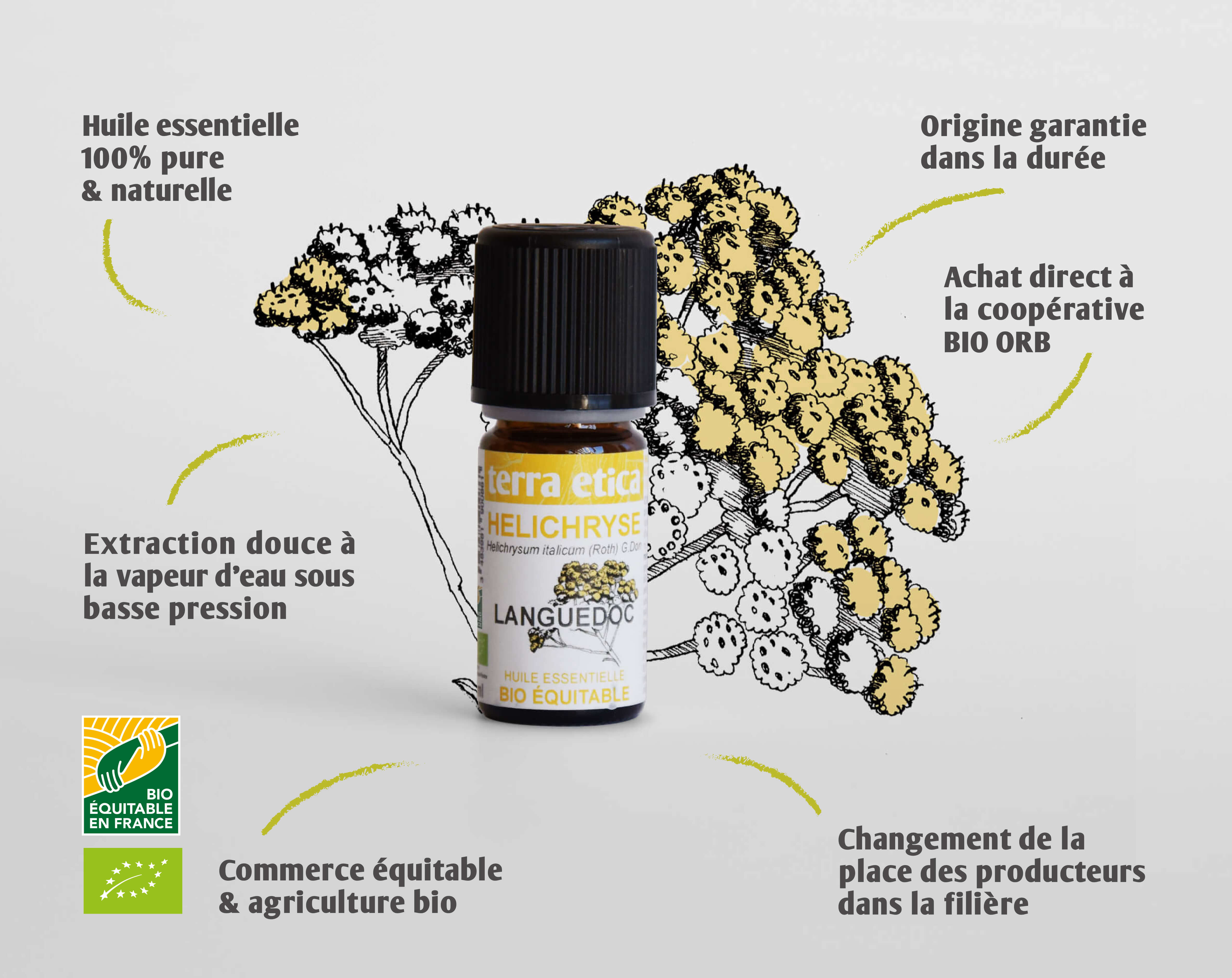 Terra Etica - Pure huile essentielle Hélichryse France biologique et équitable