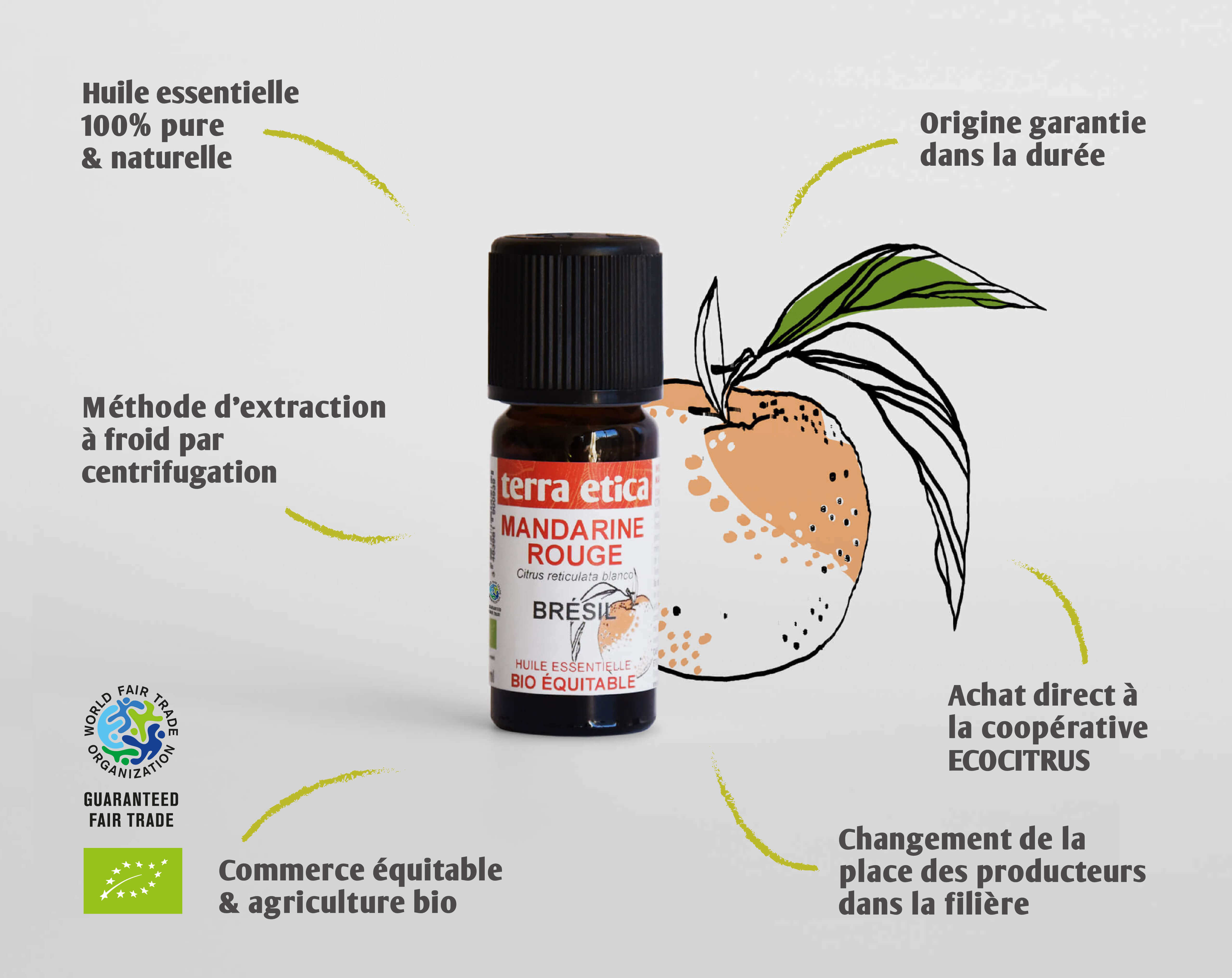 Terra Etica - Pure huile essentielle Mandarine rouge biologique et équitable