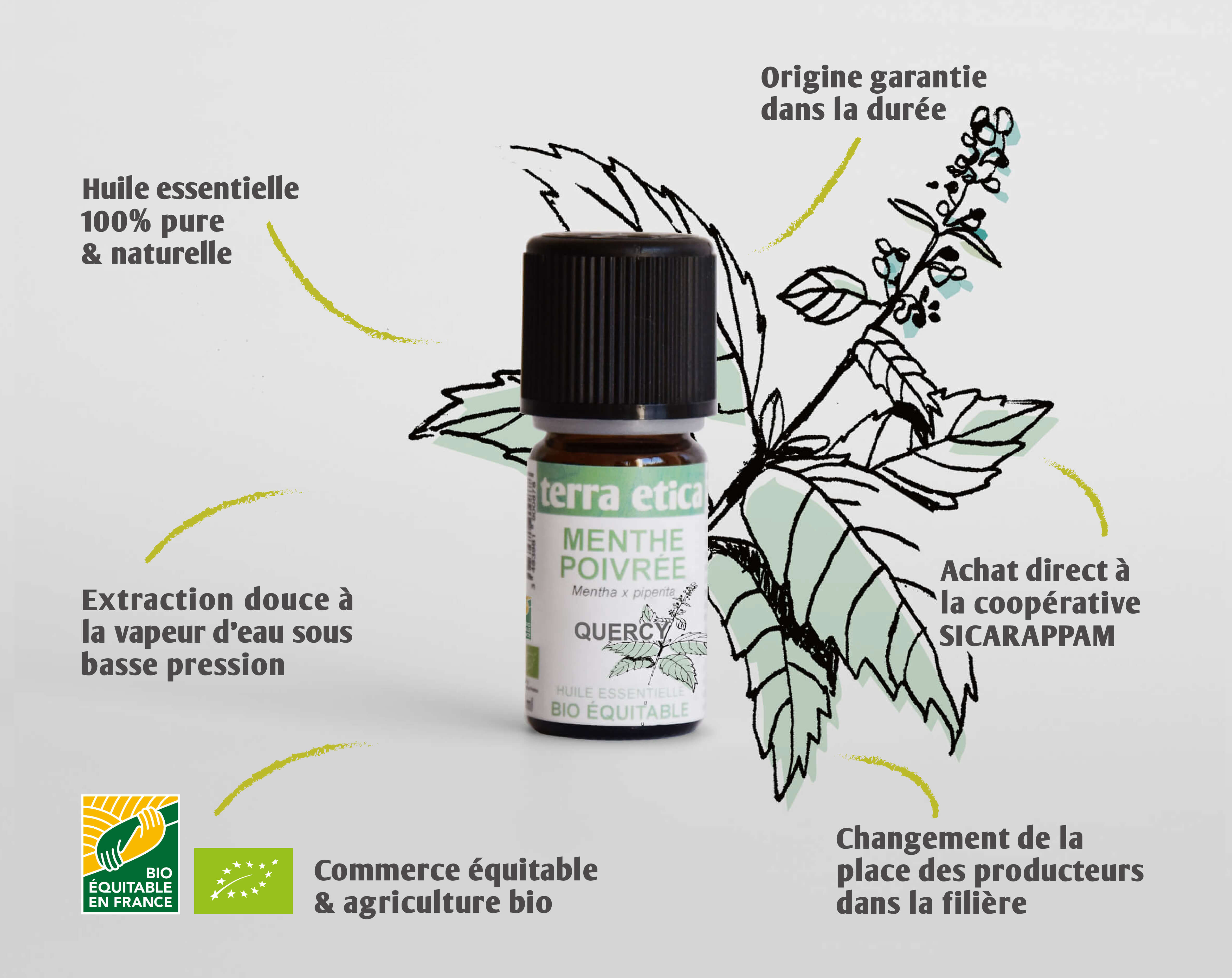 Terra Etica - Pure huile essentielle de Menthe poivrée France biologique et équitable