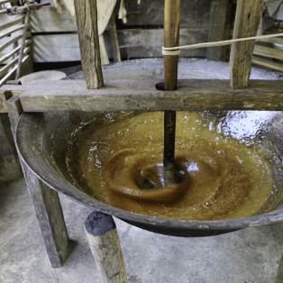 la fabrication artisanale du sucre de fleur de palmier