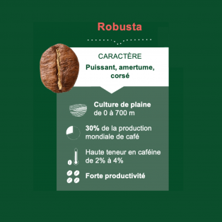 Café Arabica ou café Robusta ?